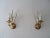 Gold Mid-Century Wheat Hollywood Regency Italian Sconces C 1950 For Sale - Image 8 of 8