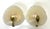 Ice Murano and Brass Shell Shapes Wall Lamps from Hillebrand, 1960s, Set of 2 For Sale - Image 11 of 18