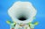 18th Century Soft Porcelain Vase with Kakiemon Decoration from Chantilly, Mennecy Saint-Cloud, France For Sale - Image 11 of 18