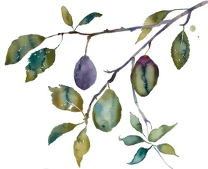 "Plum Study" Contemporary Original Botanical Tree Branches and Leaves Watercolor Painting by Elizabeth Becker