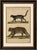 Title: antique jaguar & jaguarundi engraving – bertuch, 1813 original antique hand-colored copper engraving depicting two...