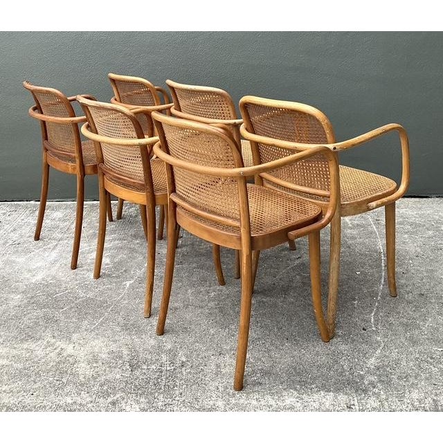 Wood Vintage Stendig Bent Wood Cane Dining Chairs - Set of 6 For Sale - Image 7 of 16