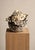 Ivory Anita Tullio, Biomorphic Sculpture, 1990s, Ceramic and Stone For Sale - Image 8 of 8