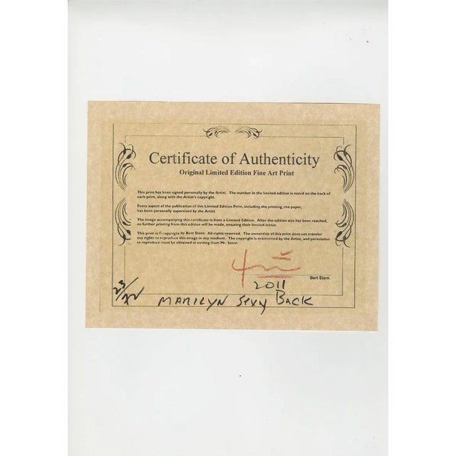 Marilyn Monroe . Marilyn Monroe sexy back . The last sitting 2009 For Sale - Image 3 of 5