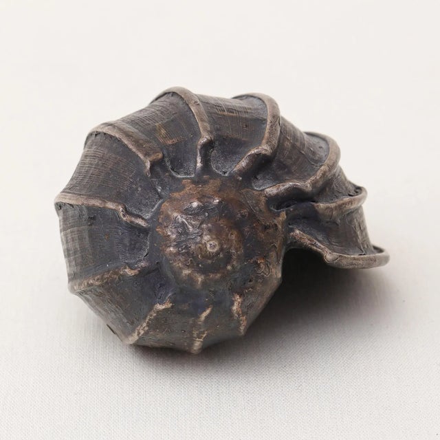 Late 20th Century Late 20th Century Silver Leaf Natural Seashells - Set of 2 For Sale - Image 5 of 7