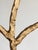 Brutalist Shabby-Chic Candelabra in Golden Wrough Iron, France, 2001 For Sale - Image 13 of 14