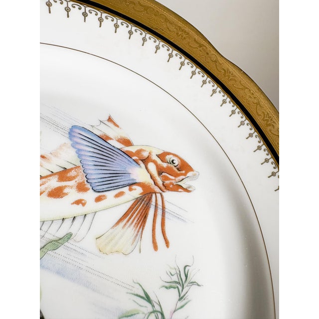 Ceramic Ceramic Plates with Fish Decoration, France, 1970s, Set of 3 For Sale - Image 7 of 17