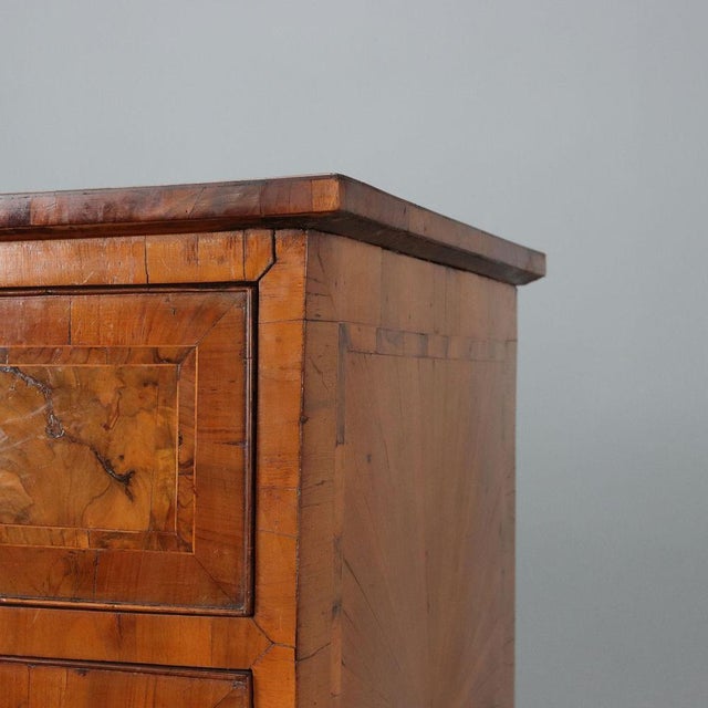Neo-Classical Walnut and Burlwood Chest of Drawers For Sale - Image 5 of 12