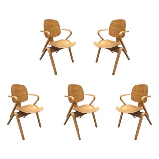1950s Attributed to Joe Atkinson for Thonet Plywood Armchairs - Set of 5 For Sale