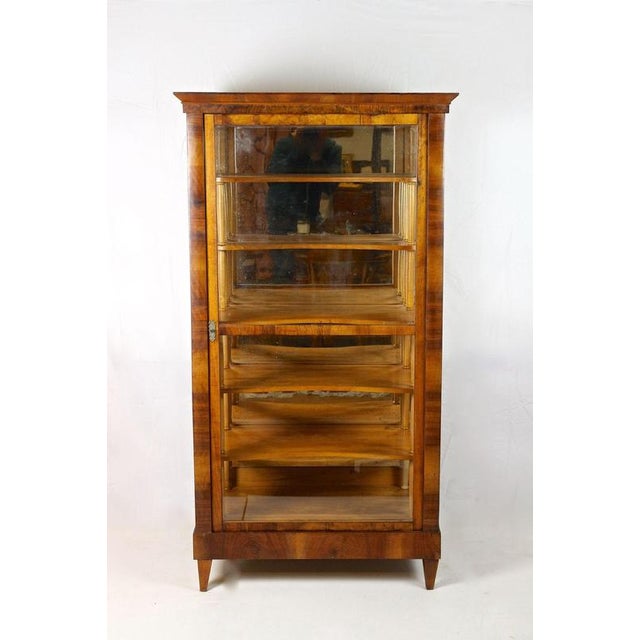 Remarkable 19th century nutwood Biedermeier display cabinet/ vitrine from the famous period in Austria around 1840....