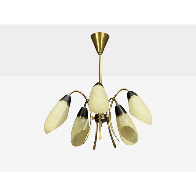 1950s Mid-Century Modern German Modern, Five-Light Chandelier, Brass, Metal, Glass For Sale - Image 4 of 13