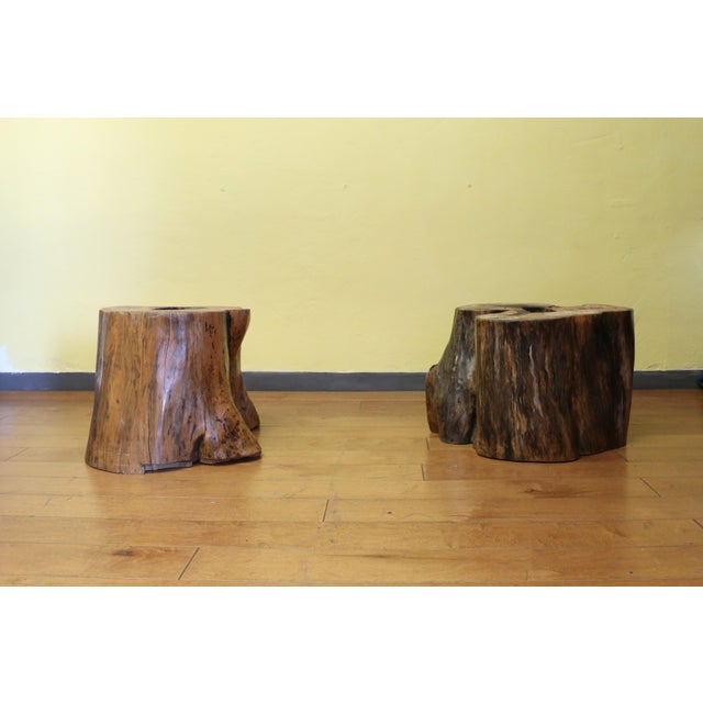 Vintage Burl Wood Coffee Table With Solid Tree Trunk Bases For Sale - Image 12 of 12