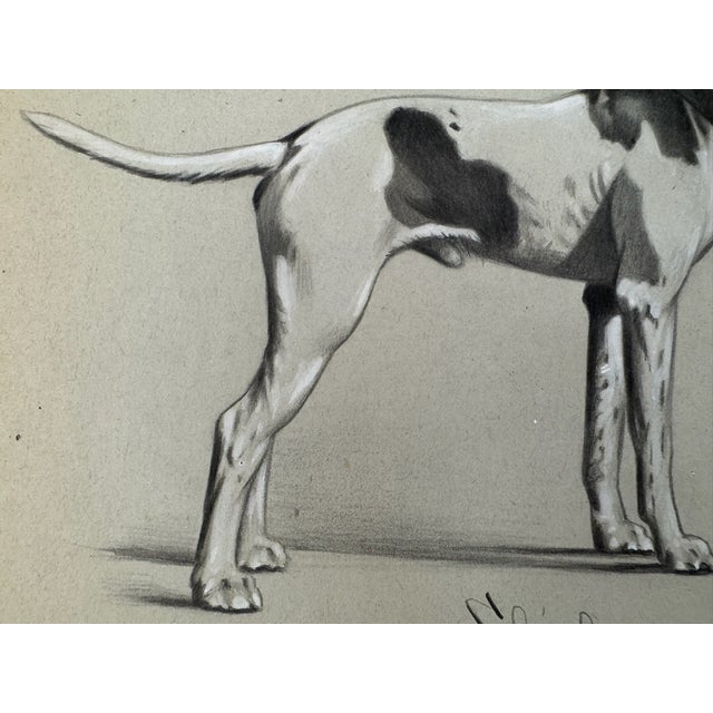 Illustration 1940s Original Signed Graphite Illustration of Pointer Hunting Dog Portrait, 10.75 × 10 In. For Sale - Image 3 of 6