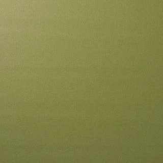 Schumacher Indoor/Outdoor Vegan Leather Fabric in Moss For Sale