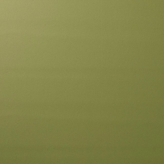 Schumacher Indoor/Outdoor Vegan Leather Fabric in Moss For Sale