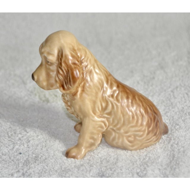 Cocker Dog from the English Brand Sylvac, 1970s For Sale - Image 4 of 7