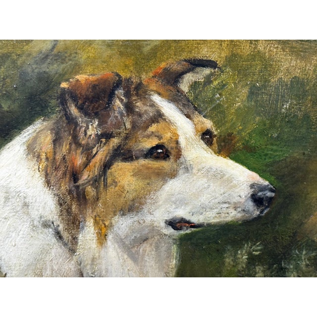 Important British c.1898 Victorian Oil Portrait of a Rough Collie Dog After John Emms Gilt Framed For Sale - Image 9 of 18