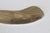 Plastic S. Lascoux Brass Finish Large Fish Wall Sculpture Mid-Century Vintage For Sale - Image 7 of 15