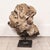 Rustic Large Ancient Concretion of Fossilized Shells & Sediment, Likely Cambrian Period For Sale - Image 3 of 5