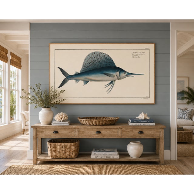 Atlantic Sailfish, Vintage Fish Art Print Reproduction, 30" X 20" For Sale In Buffalo - Image 6 of 10