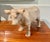 Tan Wonderful Vintage Cow Sculpture Standing 9” High X 15” Long For Sale - Image 8 of 8