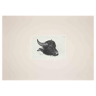 After Charles Coleman, The Buffalo, Etching For Sale