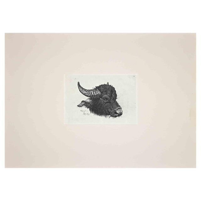 After Charles Coleman, The Buffalo, Etching For Sale