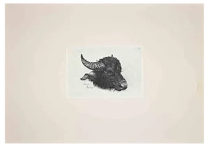 After Charles Coleman, The Buffalo, Etching