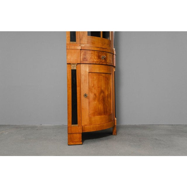 19th Century Biedermeier Corner Display Cabinet For Sale - Image 9 of 18