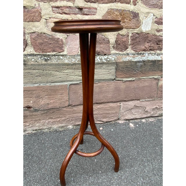 Beige Curved Wooden Plant Holder, 1890s For Sale - Image 8 of 10