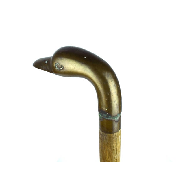 Rustic Mid 20th Century Solid Brass Duck Head Handle With Wooden Stick Walking Cane For Sale - Image 3 of 6