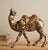 Bring an elegant touch of 1980s postmodernism into your space with this striking ceramic camel figurine from the highly...
