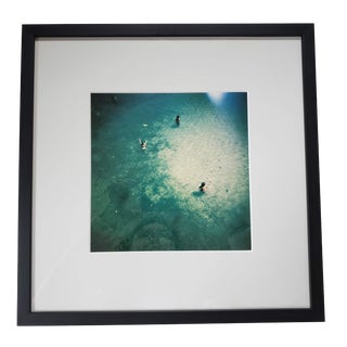Swimmers Framed Fine Art Photography For Sale