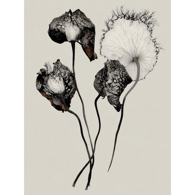 A sophisticated set of eight black-and-white botanical photographic prints featuring delicate flowers, seed heads, pods,...