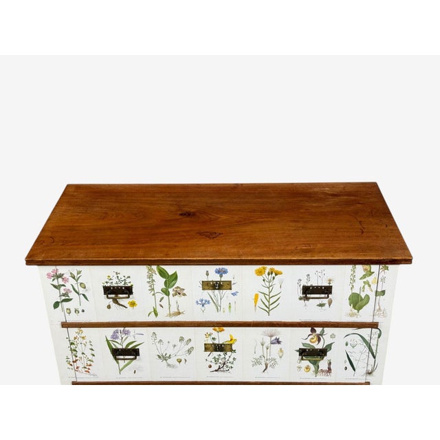 Antique White Swedish Modern, Nordens Flora Dresser, Brass, Floral Lithographs, Sweden, 1930s For Sale - Image 8 of 14