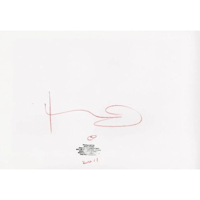 Bert stern Marilyn Monroe The last sitting Pearls 1 Tirage inkjet 50 exemplaires 2011 33 x 48 cms Signé recto / verso Daté...