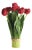 Peony Tulip Bundle Drop-In 18" For Sale