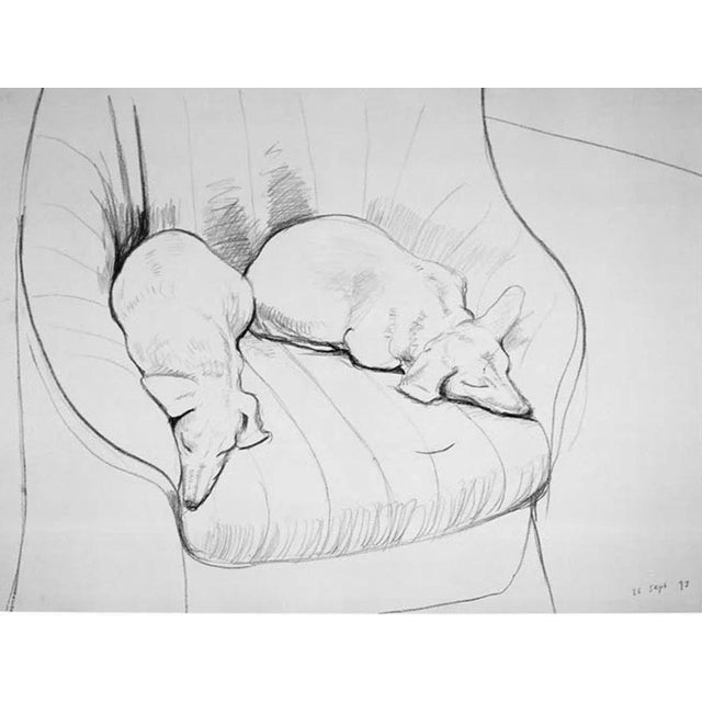 Contemporary David Hockney Black and White Dogs Official Poster For Sale - Image 3 of 3