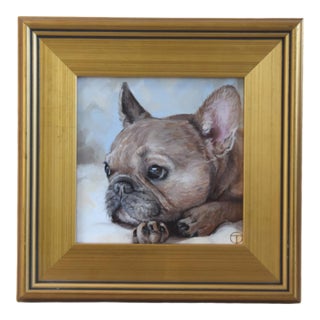French Frenchie Bull Dog Portrait Painting Including the Antiqued Gold Frame For Sale