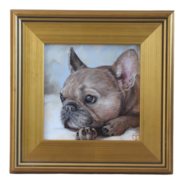 French Frenchie Bull Dog Portrait Painting Including the Antiqued Gold Frame For Sale