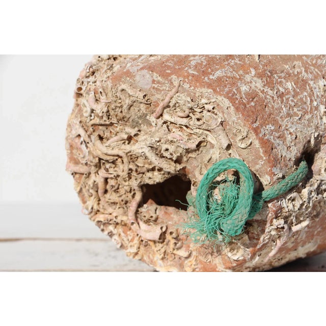 19th Century Antique Terracotta Octopus Trap Undersea Pot For Sale - Image 12 of 13