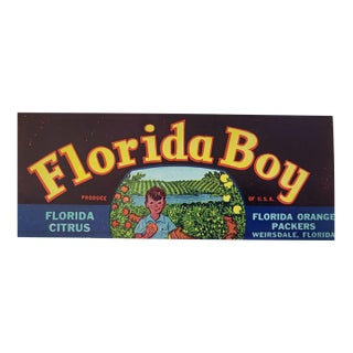 1950s Florida Boy Fruit Crate Label For Sale