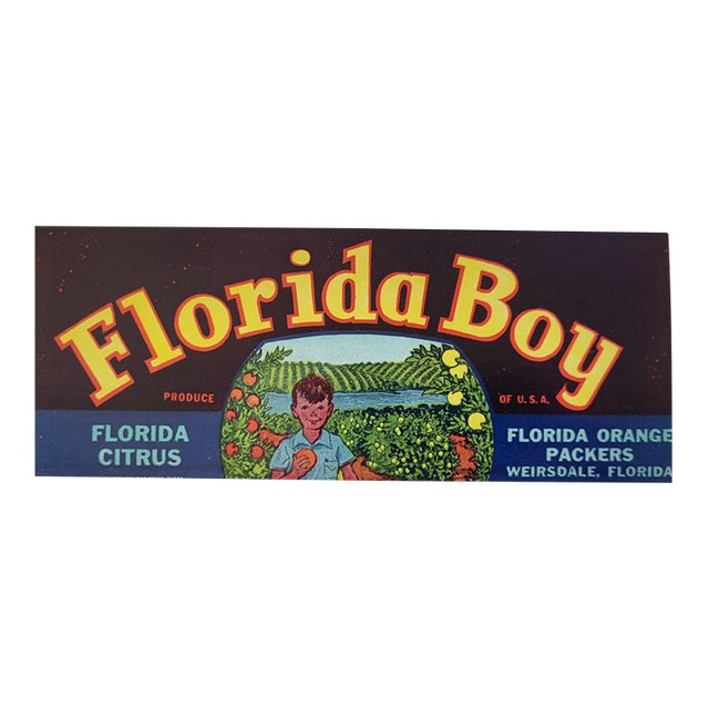 1950s Florida Boy Fruit Crate Label For Sale