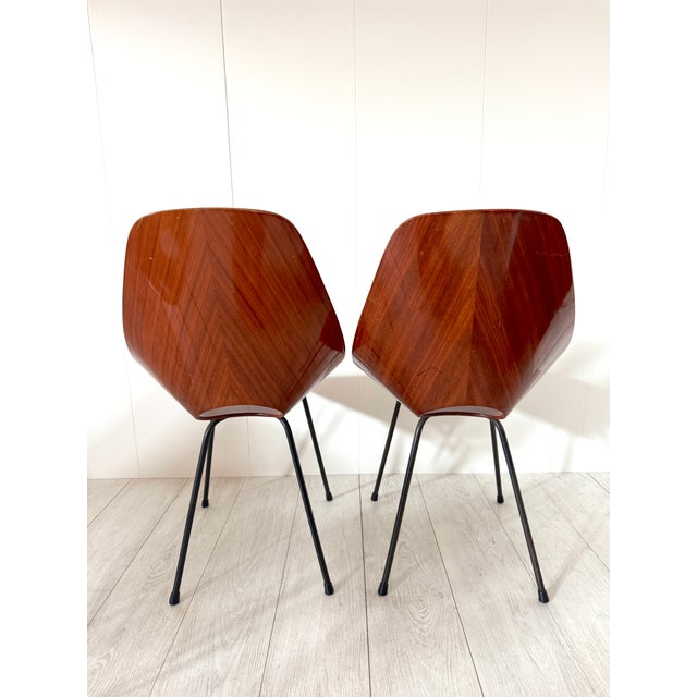 1950s Vintage Medea Chairs by Vittorio Nobili for Fratelli Tagliabue, 1950s, Set of 6 For Sale - Image 5 of 15
