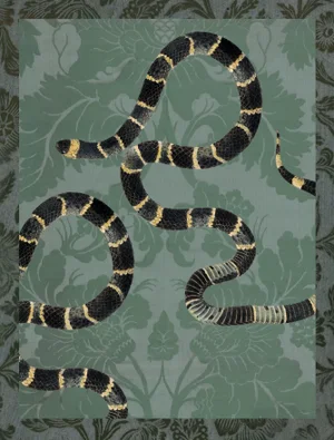 'Les Jardin', Snake Print on Textile Pattern