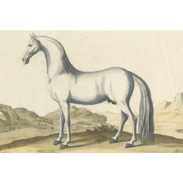 Baron Eisenberg, L'Arabe, 1727, Engraving For Sale - Image 5 of 11