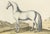 Baron Eisenberg, L'Arabe, 1727, Engraving For Sale - Image 5 of 11