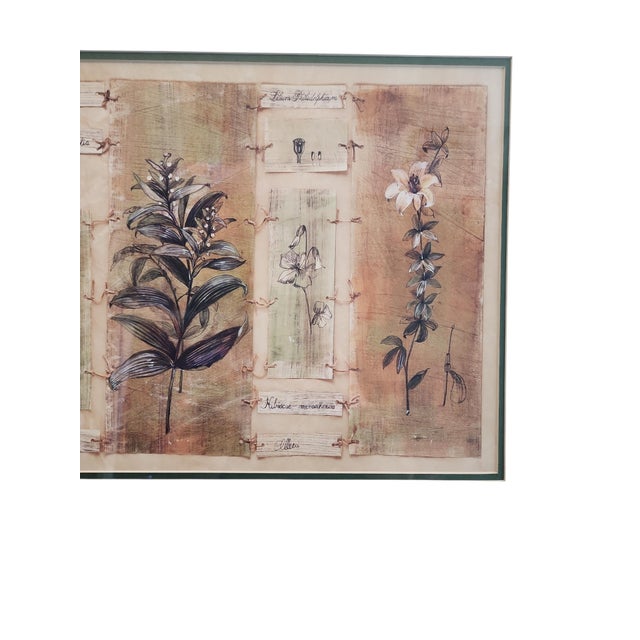 Impressionist Paul Hargitai "Hibiscus" Vintage Print For Sale - Image 3 of 5