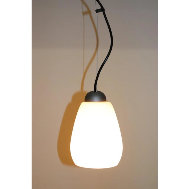 1990s Rosanna Toso Murano Pendant Lamp Rose Glass For Sale In New York - Image 6 of 9