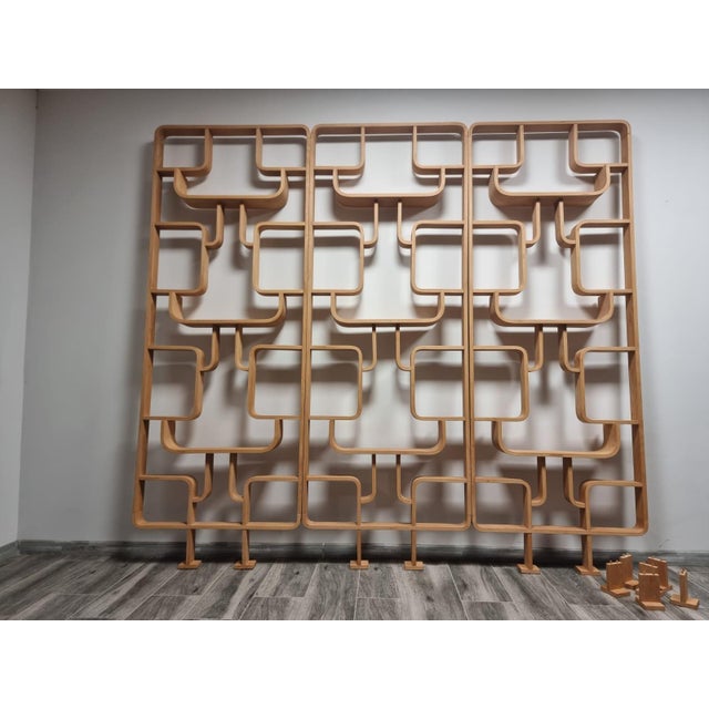 Room Dividers by Ludvik Volak for Drevopodnik Holesov, 1950s, Set of 3 For Sale - Image 10 of 11